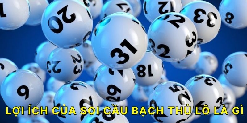 Lợi ích của soi cầu bạch thủ lô là gì