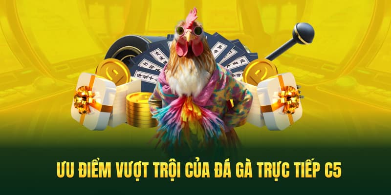 Ưu điểm vượt trội của đá gà trực tiếp C5