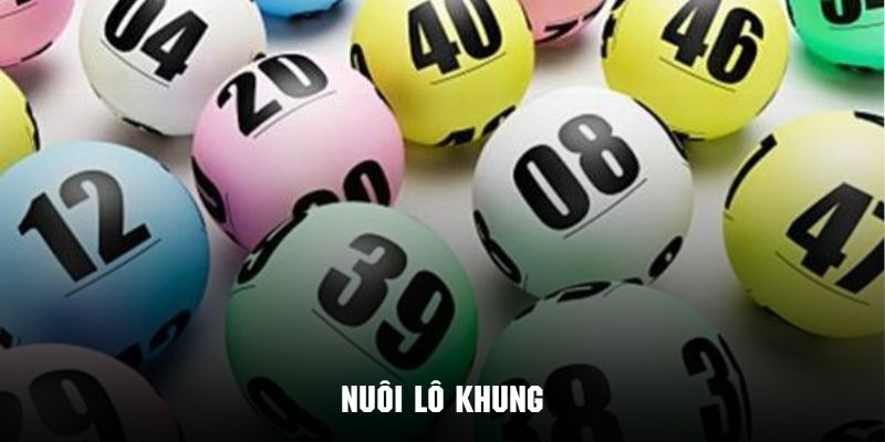 Nuôi lô khung